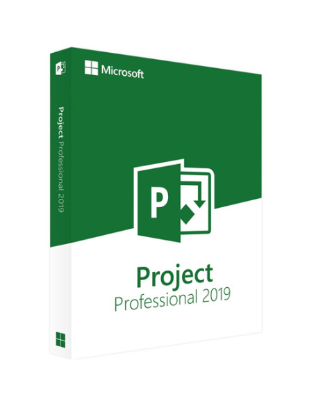 Microsoft Project 2019 Professional